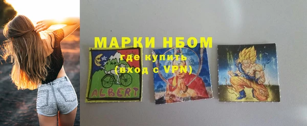 молекула духа Кулебаки