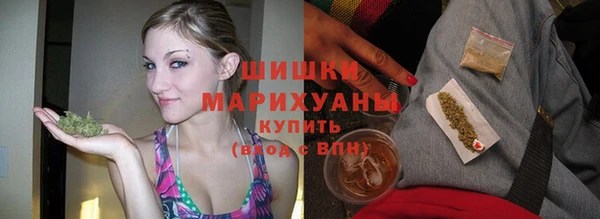 молекула духа Кулебаки