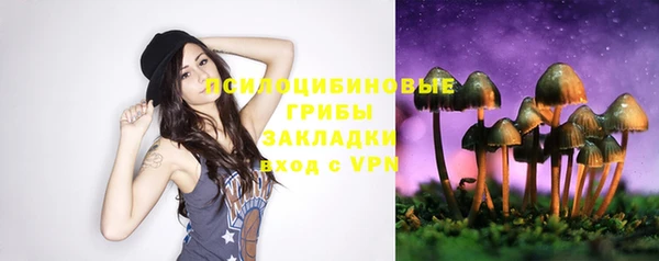 молекула духа Кулебаки