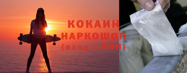 молекула духа Кулебаки