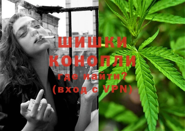 молекула духа Кулебаки