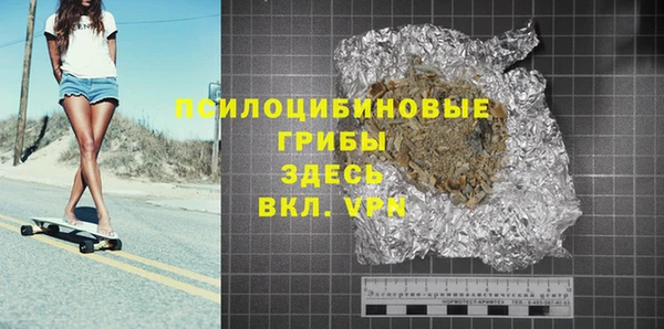 молекула духа Кулебаки