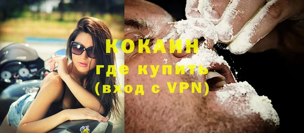 молекула духа Кулебаки