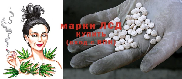 молекула духа Кулебаки