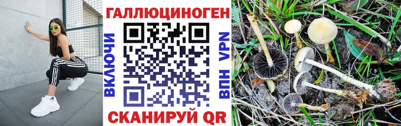 Купить закладки  Сосенский  Галлюциногенные грибы прущие грибы 